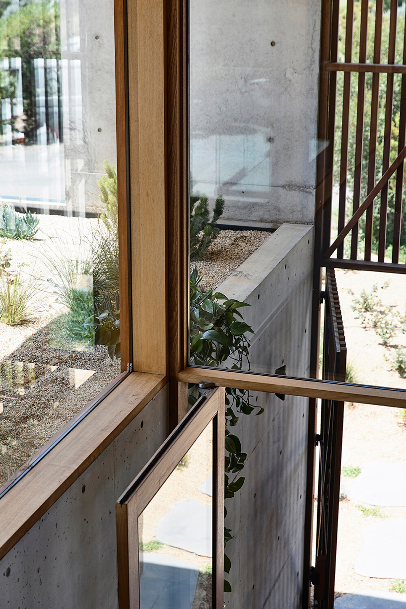 auhaus builds a beachside house around a central courtyard in australia designboom