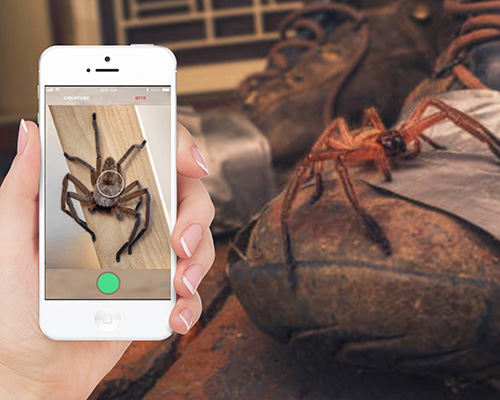 critterpedia, the australian app that is like shazam for spiders and snakes