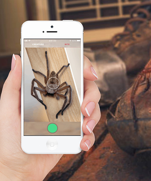 critterpedia, the australian app that is like shazam for spiders and snakes