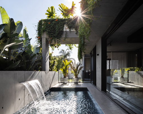 a lush outdoor pool extends from 'danny's house' by shaun lockyer architects in brisbane