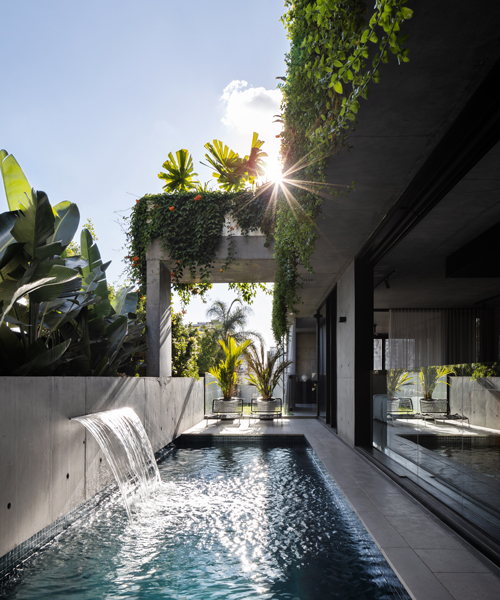 a lush outdoor pool extends from 'danny's house' by shaun lockyer architects in brisbane