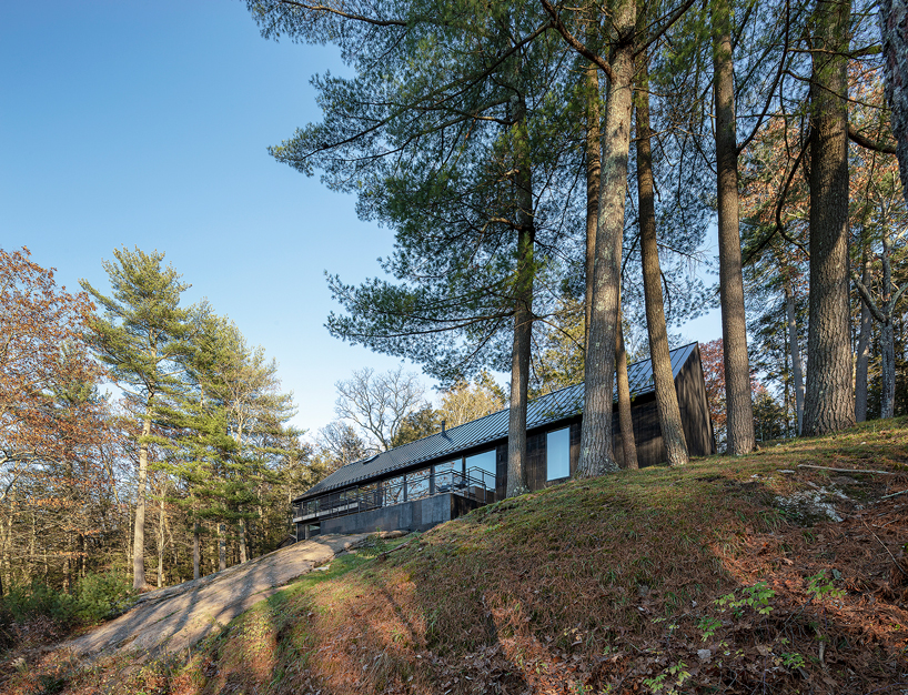 desai chia builds 'ledge house' next to a prehistoric boulder in the connecticut valley