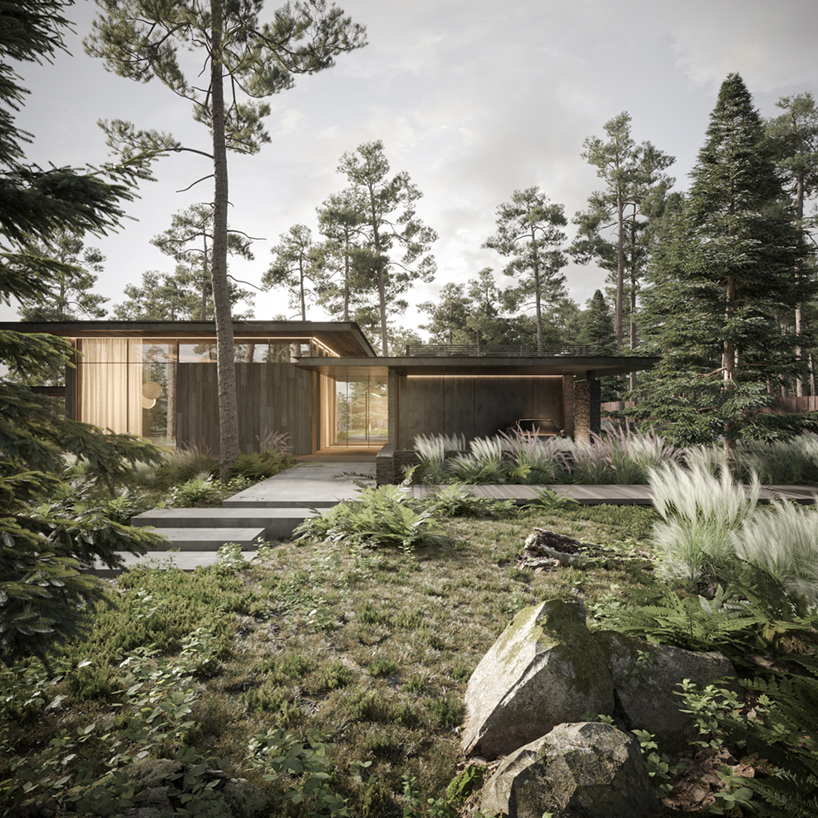 dezest pine cove