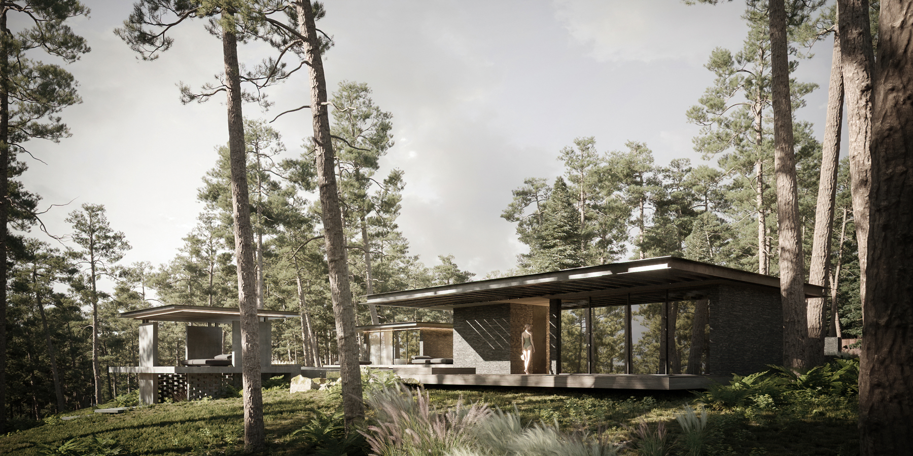 dezest envisions pine cove house as forest retreat to escape urban density