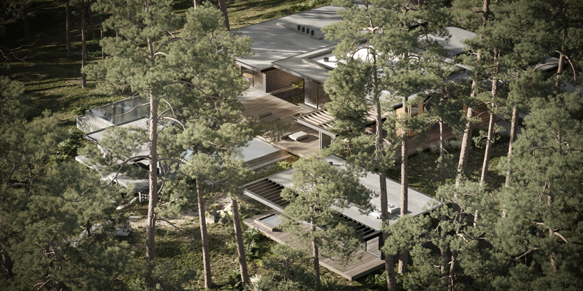 dezest pine cove