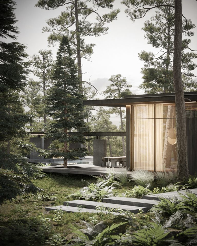 dezest envisions pine cove house as forest retreat to escape urban density