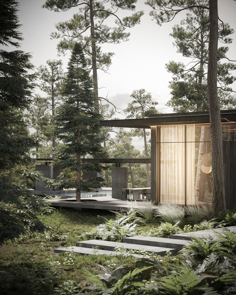 dezest pine cove