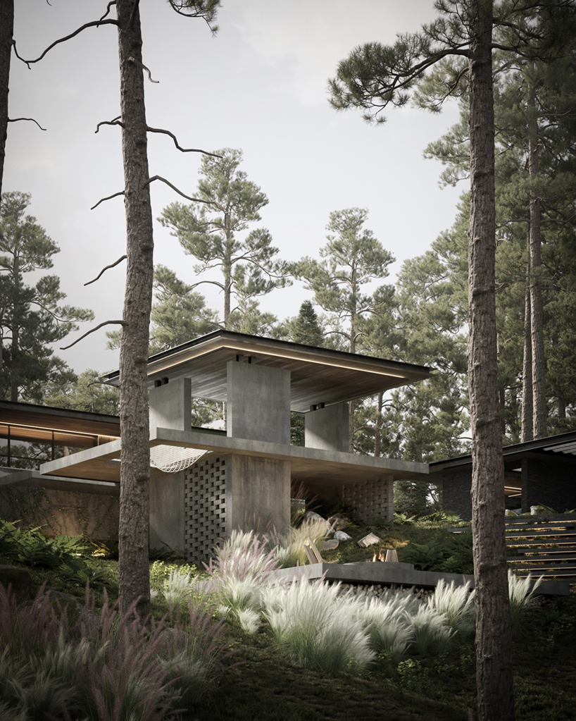 dezest pine cove