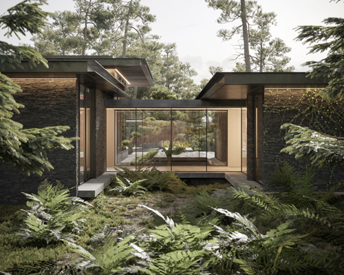 dezest envisions its pine cove house as a forested retreat to escape urban density