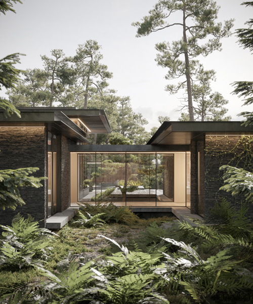 dezest envisions its pine cove house as a forested retreat to escape urban density