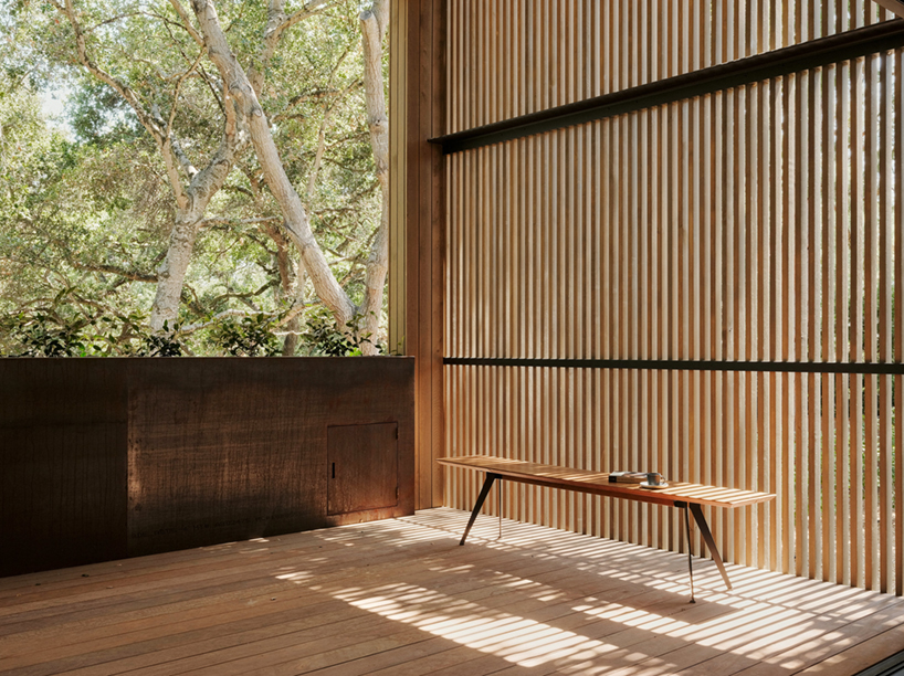 field architecture splits open its dawnridge house to accomodate an existing oak