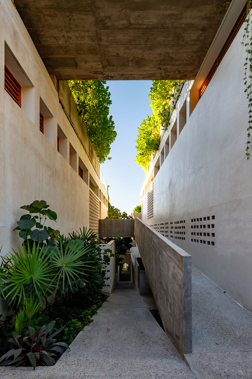 francisco pardo steps 'villas escondida' into a coastal site in mexico designboom