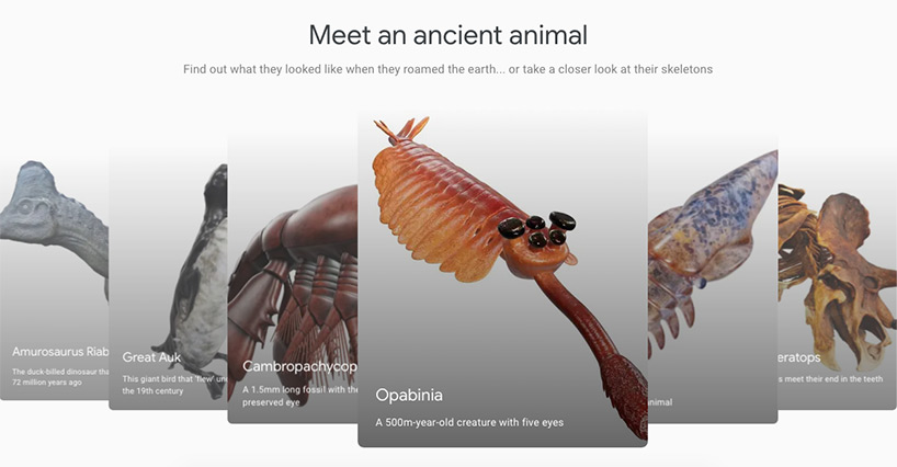 crustacean with eye-covered head among prehistoric critters to roam your home thanks to google AR