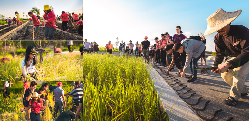 LANDPROCESS completes asia's largest urban rooftop farm in thailand designboom