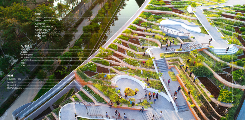 LANDPROCESS completes asia's largest urban rooftop farm in thailand designboom