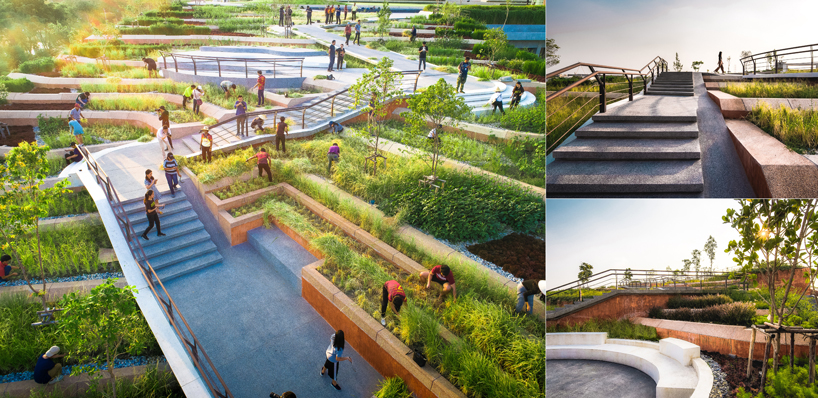LANDPROCESS completes asia's largest urban rooftop farm in thailand designboom