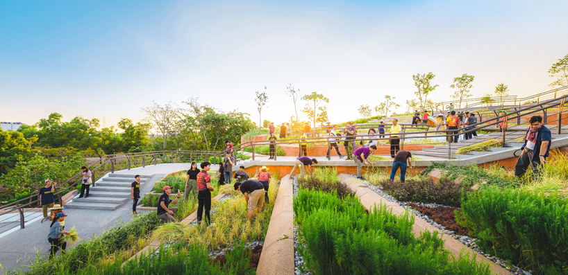 LANDPROCESS completes asia's largest urban rooftop farm in thailand designboom