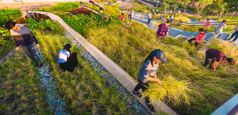 LANDPROCESS completes asia's largest urban rooftop farm in thailand designboom