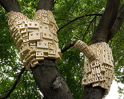 london fieldworks' dense metropolises of wooden birdhouses sprout from tree trunks