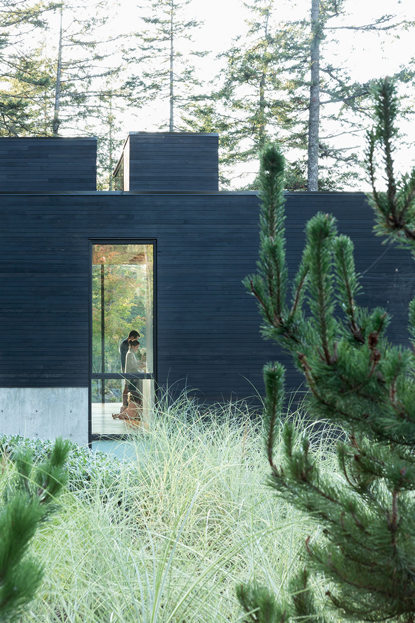 bowen island house by omb is a peaceful family retreat in canada designboom