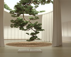 six n. five envisions a surreal collection of japanese garden scenes