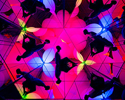 teamLab unveils forest, a permanent exhibition that encourages thinking with the body