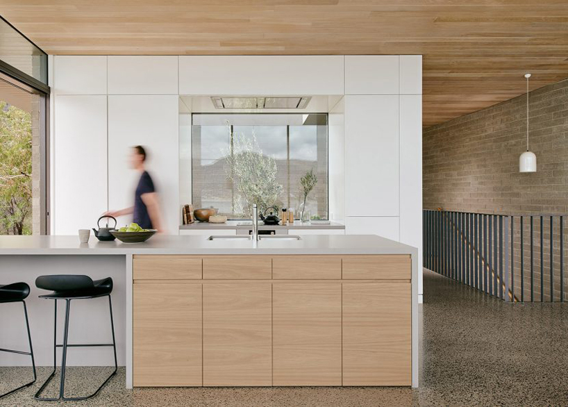 topology studio builds a house overlooking otago bay in tasmania designboom