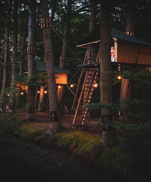 treehouse hotel complex offers glamping experience along forest path in bruges, belgium