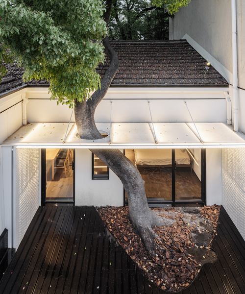 wutopia lab adds micro chinese garden to 'the hiding house' in shanghai