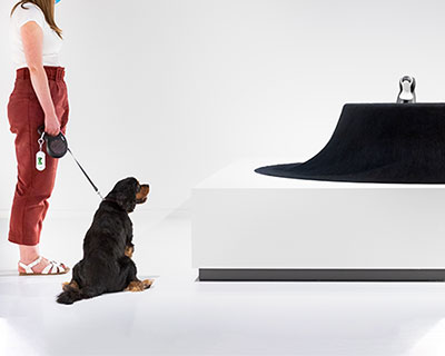 Dog Art And Design Designboom Com