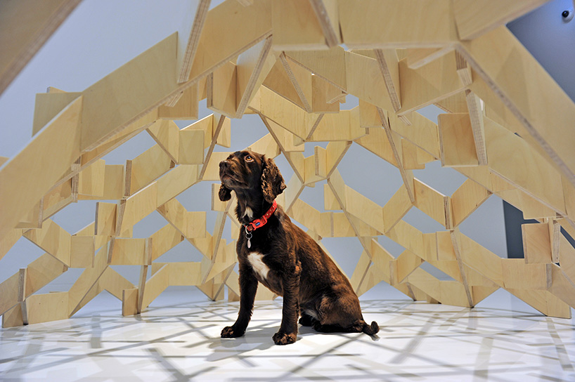 architecture for dogs unveils new project by asif kahn at japan house london exhibition