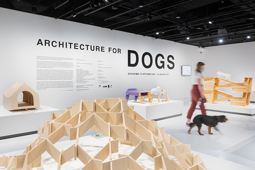 architecture for dogs unveils new project by asif kahn at japan house london exhibition