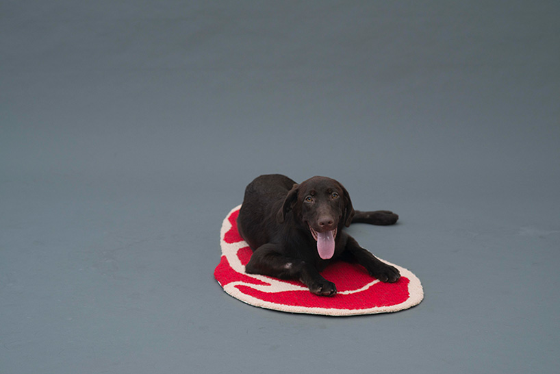 architecture for dogs unveils new project by asif kahn at japan house london exhibition