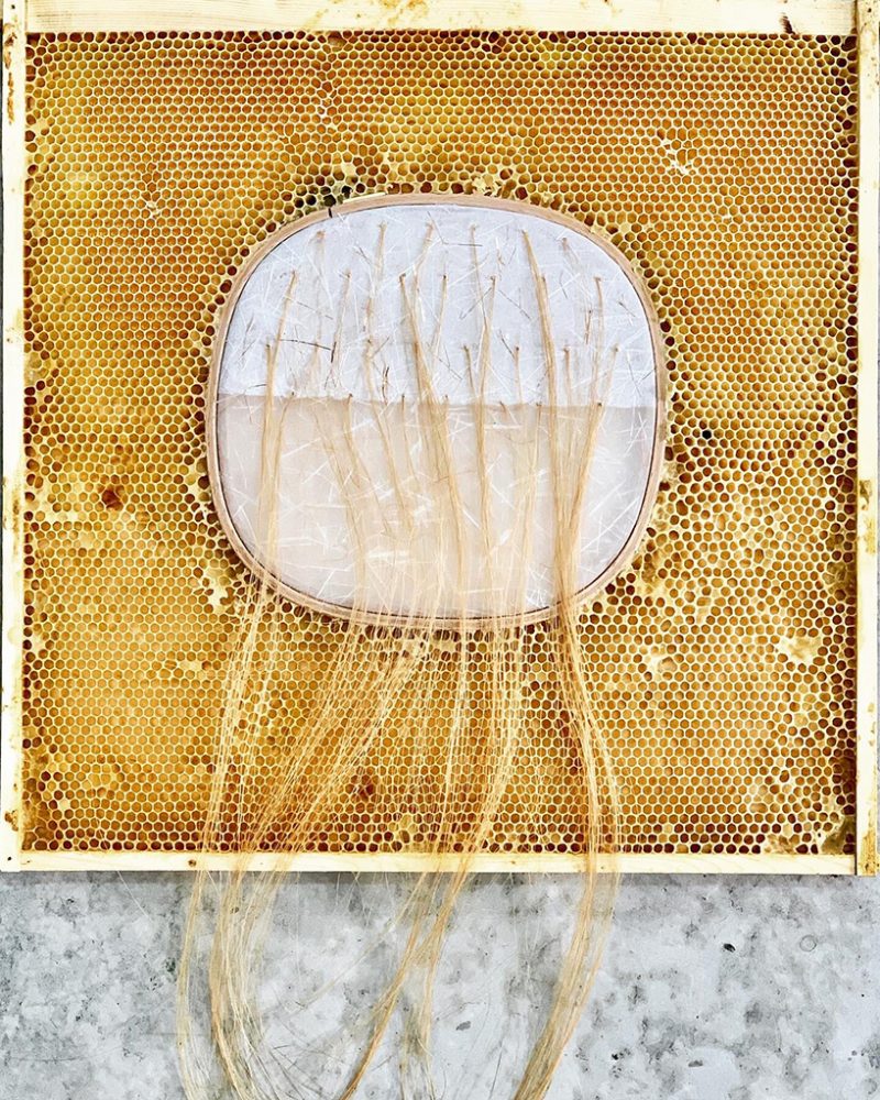 ava roth collaborates with bees in embroidery artworks contained by ...