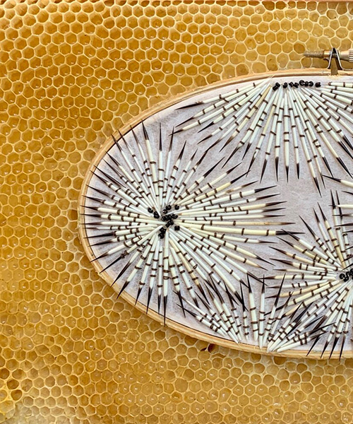 ava roth collaborates with bees in embroidery artworks contained by honeycombs