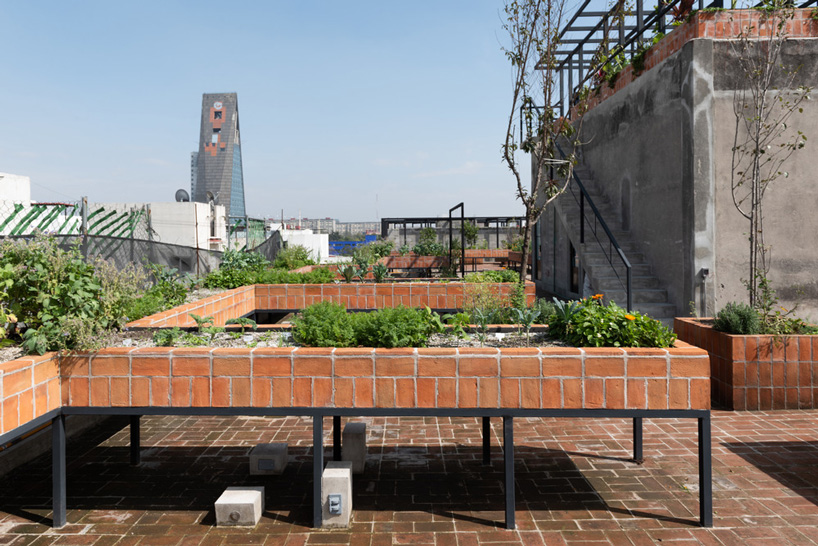 BAAQ' inserts wooden modular system to 1960s apartment building in mexico city