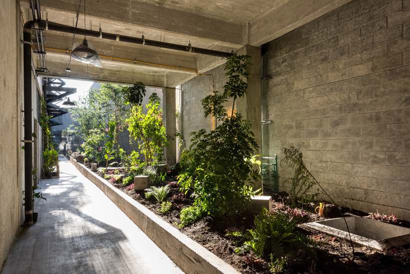 BAAQ' inserts wooden modular system to 1960s apartment building in mexico city