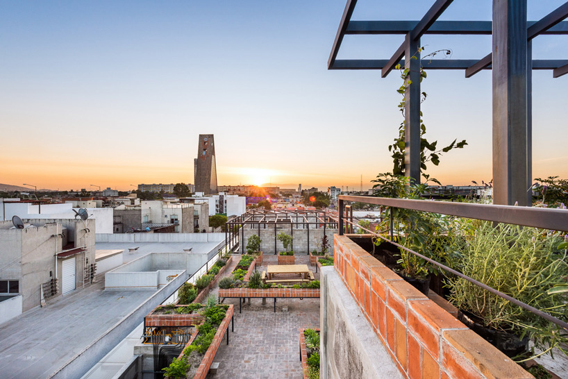BAAQ' inserts wooden modular system to 1960s apartment building in mexico city