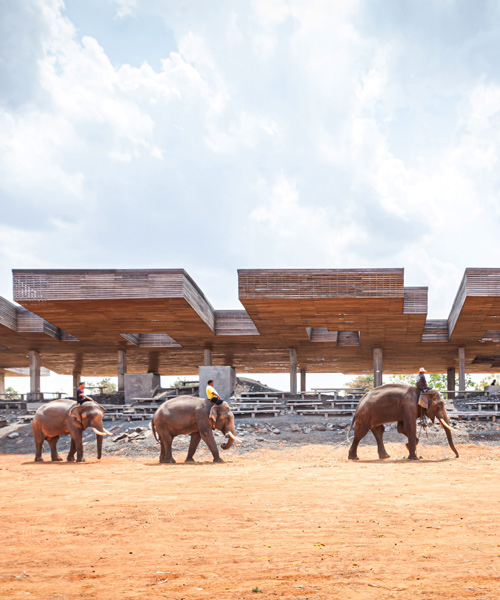 bangkok project studio creates 'cultural courtyard' for elephants + humans in thailand