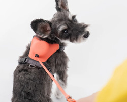 BKID develops hybrid dog harness with a lightweight, retractable leash module for 'tailhigh'