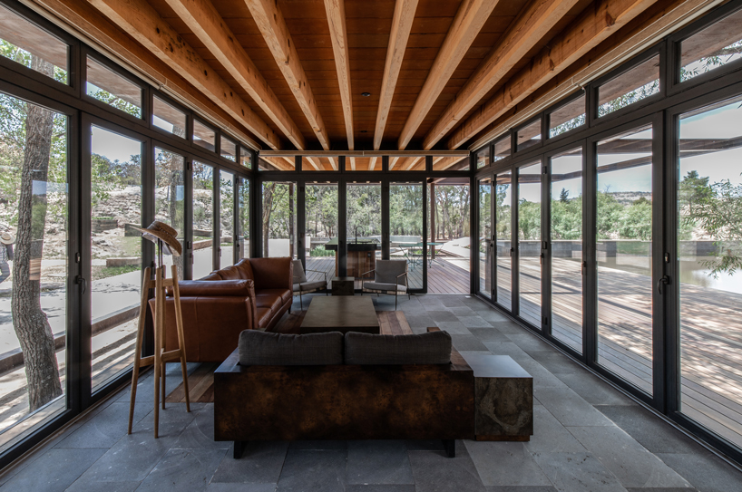 tree trunks populate 'the terrace' in mexico designed by fabian escalante h designboom