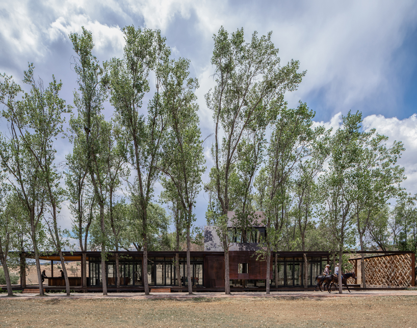 tree trunks populate 'the terrace' in mexico designed by fabian escalante h designboom