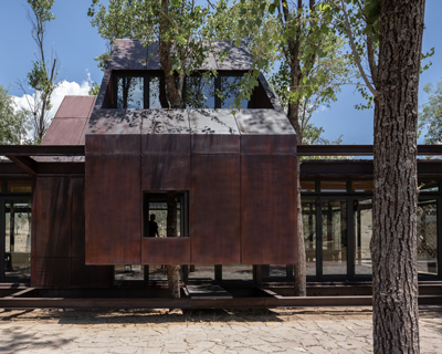 tree trunks populate 'the terrace' in rural mexico designed by fabian m escalante h