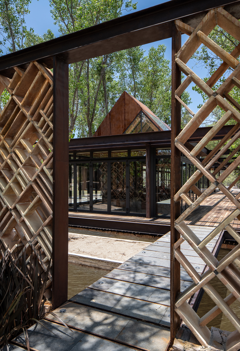 tree trunks populate 'the terrace' in mexico designed by fabian escalante h designboom