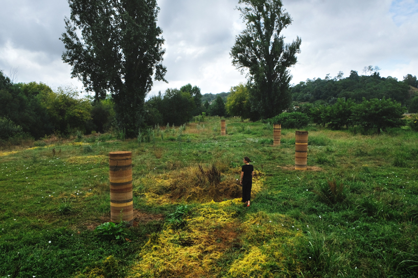 iwo borkowicz + ola korbańska transform palm tree biomass into sculptures designboom