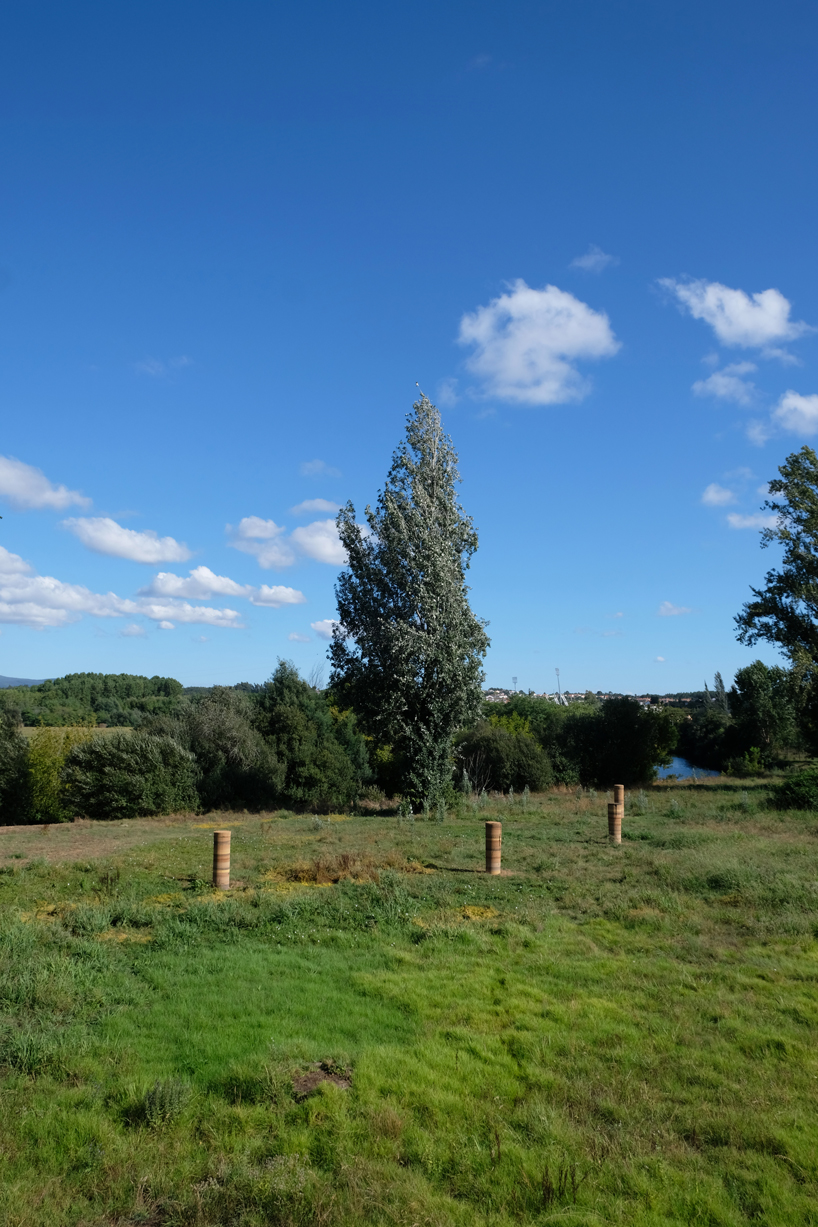 pillars made from the biomass of dead palm trees populate a riverside site in portugal