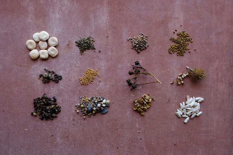 iwo borkowicz + ola korbańska transform palm tree biomass into sculptures designboom