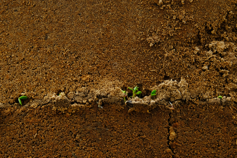 pillars made from the biomass of dead palm trees populate a riverside site in portugal