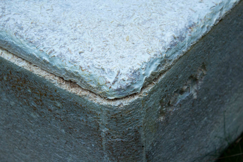 world’s first living coffin made of mushroom mycelium gives human nutrients back to nature