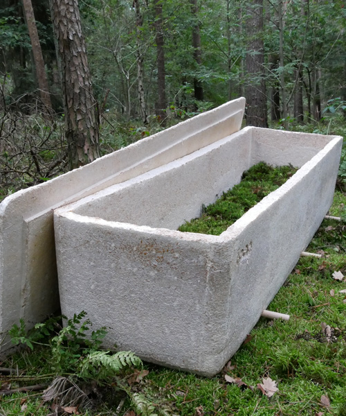 world’s first living coffin made of mushroom mycelium gives human